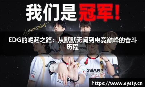 星空·综合体育